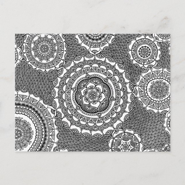Carte Postale Fleurs d'horloge (Devant)