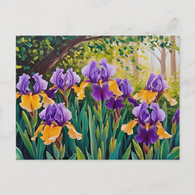 Carte Postale Fleurs d'Iris fleurissant dans le jardin d'été (Devant)