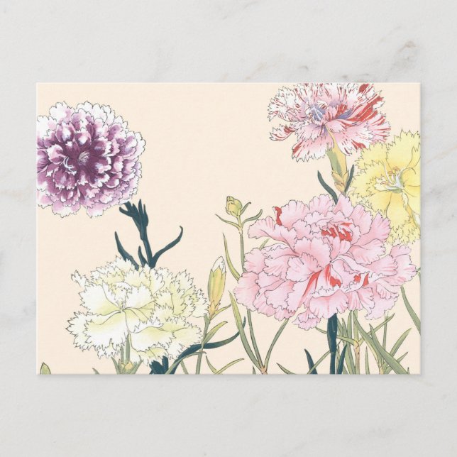 Carte Postale Fleurs d'oeillet rose vintage japonaises (Devant)