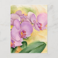 Fleurs d'orchidées Phalaenopsis Lavande Rose