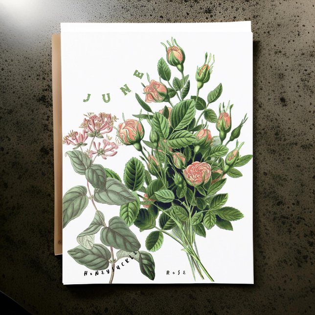 Carte Postale Fleurs du mois de juin Chèvrefeuille Rose (Créateur téléchargé)