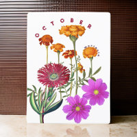 Fleurs du mois d'octobre Souci & Cosmos |