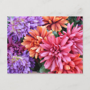 Carte Postale Fleurs éclatantes