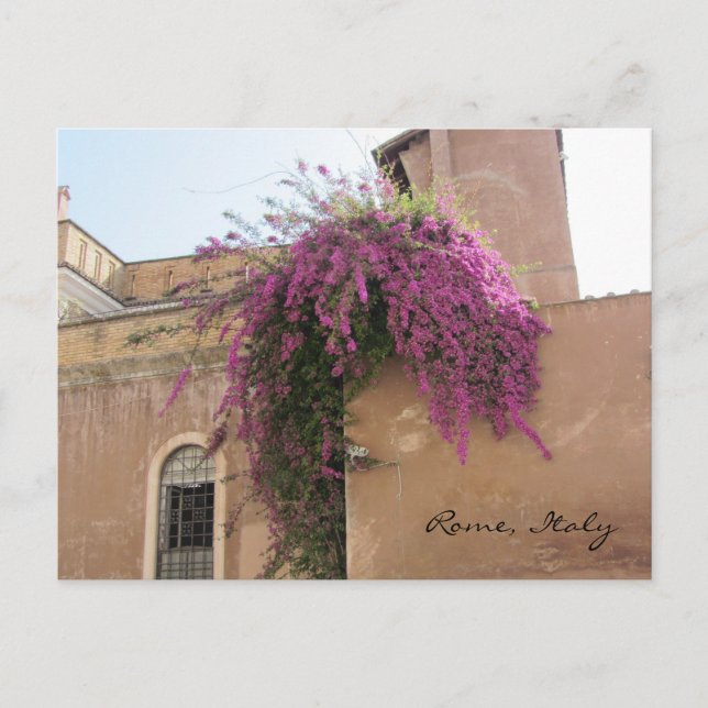 Carte Postale Fleurs en cascade sur un bâtiment ancien (Devant)