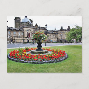 Carte Postale Fleurs En Fleur Devant Les Bains Turcs À Ha