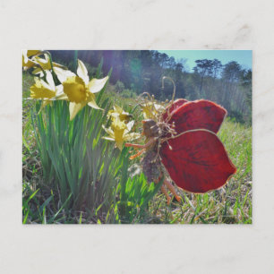 Carte Postale Fleurs et fleurs jaunes