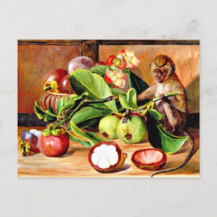 Carte Postale Fleurs et fruits de Mangosteen ; Singe de Singapou