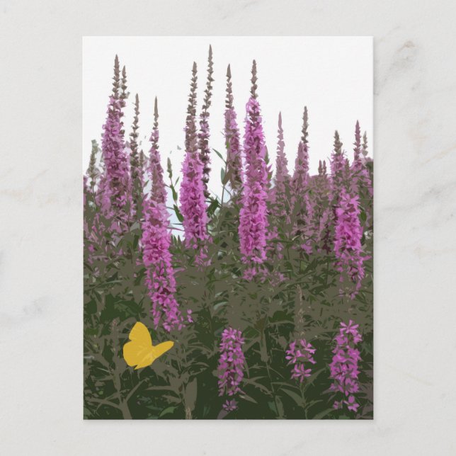 Carte Postale Fleurs et papillon (Devant)
