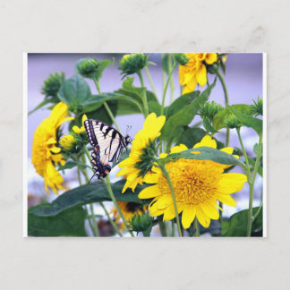 Carte Postale Fleurs et papillons - Queue d'avale