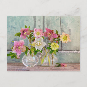 Carte Postale Fleurs Hellebores dans Vases