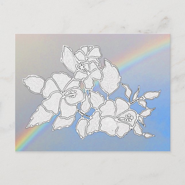 Carte postale - Fleurs Hibiscus à couleur (Devant)