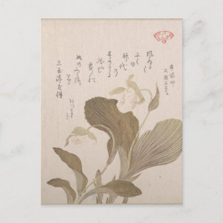Carte Postale Fleurs Hotei - Kubo Shunman (japonais)