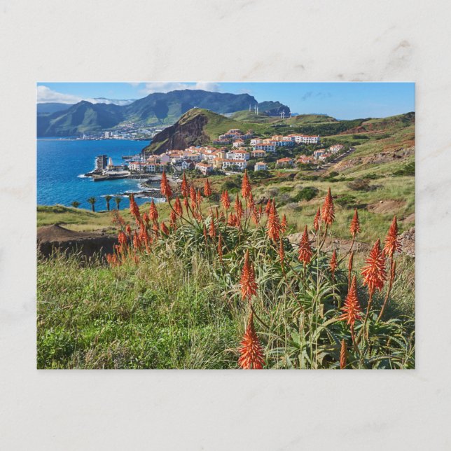 Carte Postale Fleurs | Île de Madère Portugal (Devant)