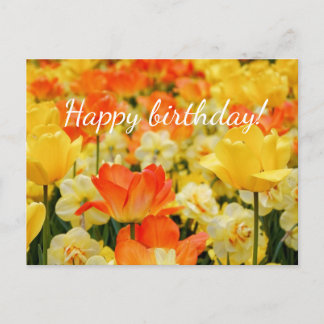 Carte Postale Fleurs jaunes et orangées