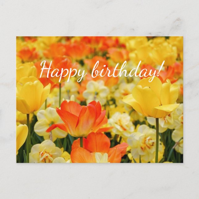Carte Postale Fleurs jaunes et orangées (Devant)