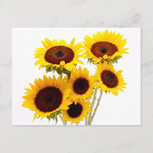 Carte Postale Fleurs Jaunes Foral Tournesols - Amour, Miss You