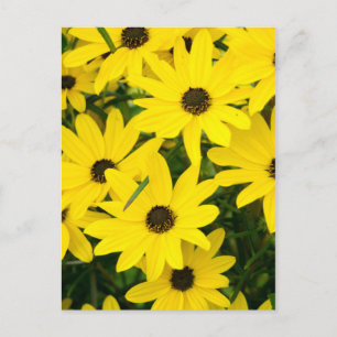 Carte Postale Fleurs Jaunes Lumineuses