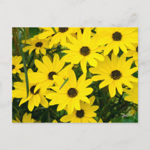 Carte Postale Fleurs Jaunes Lumineuses