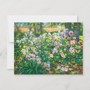 Carte Postale Fleurs jolies vintages Illustration Fleurs blanche