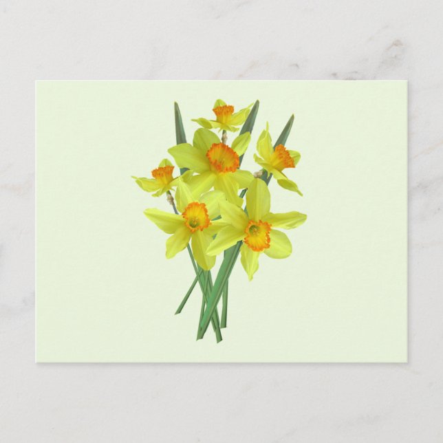 Carte Postale Fleurs jonquilles jaunes (Devant)