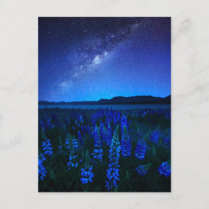 Carte Postale Fleurs   Lupines fleurissant à Night Lake Tekapo