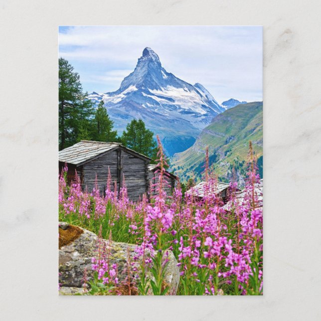 Carte Postale Fleurs | Matterhorn d'été Suisse (Devant)