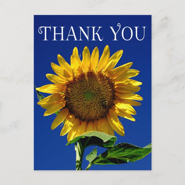 Carte postale fleurs Merci jaune tournesol fleuri (Devant)