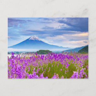 Carte Postale Fleurs   Mont Fugi Japon