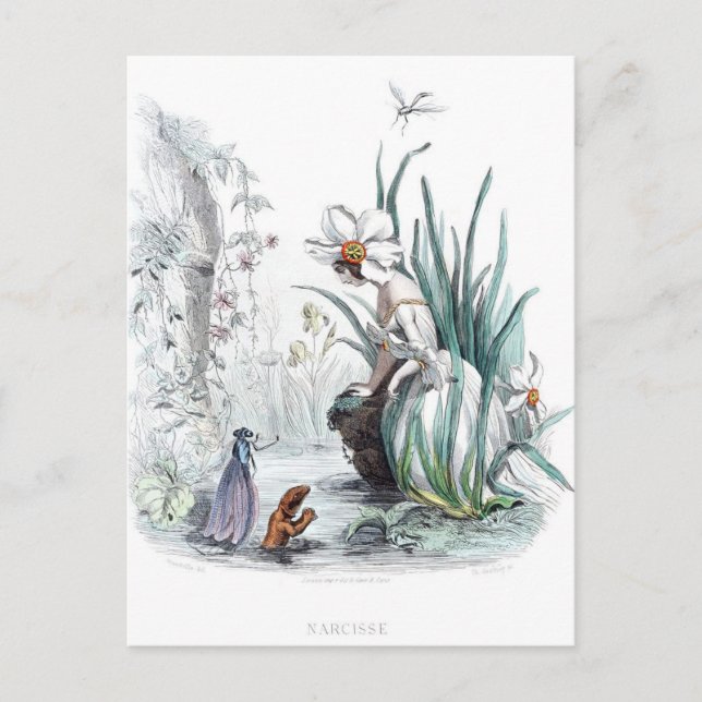 Carte Postale Fleurs personnifiées (Devant)