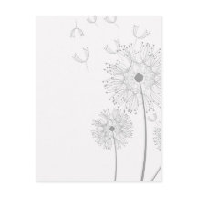 Fleurs Pissenlit Fleurs Paix Amour Destinée