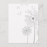 Fleurs Pissenlit Fleurs Paix Amour Destinée