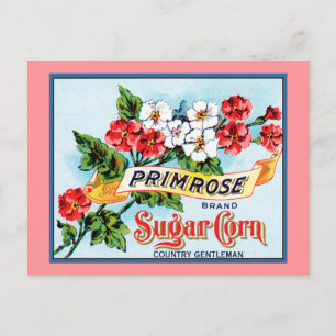 Carte Postale Fleurs Primrose modifiables Vintage Crate Art