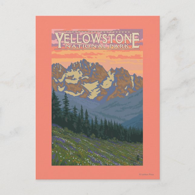 Carte Postale Fleurs printanières - Parc national de Yellowstone (Devant)