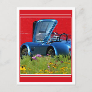 Carte Postale Fleurs rapides