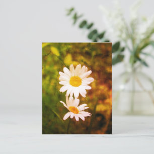 Carte Postale Fleurs romantiques – Couple de marguerites botaniq