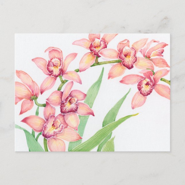 Carte Postale Fleurs roses d'aquarelle (Devant)