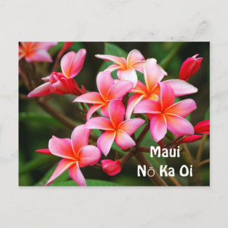 Carte Postale Fleurs roses de Plumeria, ka Oi de Maui Nō