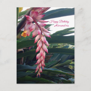 Carte Postale Fleurs Roses Élégantes Tropicales Anniversaire