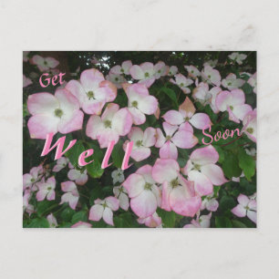 Carte postale fleurs roses pour un prompt rétablis