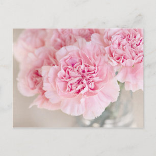 Carte Postale Fleurs roses roses