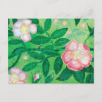 Fleurs Roses roses Jardin secret