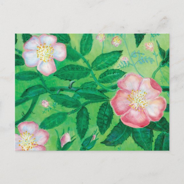 Carte Postale Fleurs Roses roses Jardin secret (Devant)