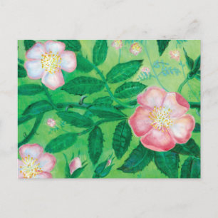 Carte Postale Fleurs roses sauvages