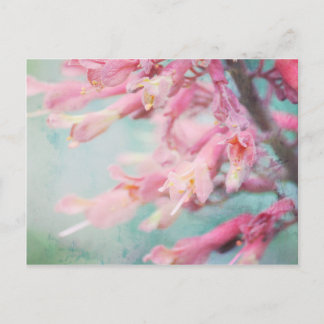 Carte Postale Fleurs roses sur Aqua arrière - plan