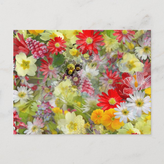 Carte Postale Fleurs rouges et jaunes printanières (Devant)