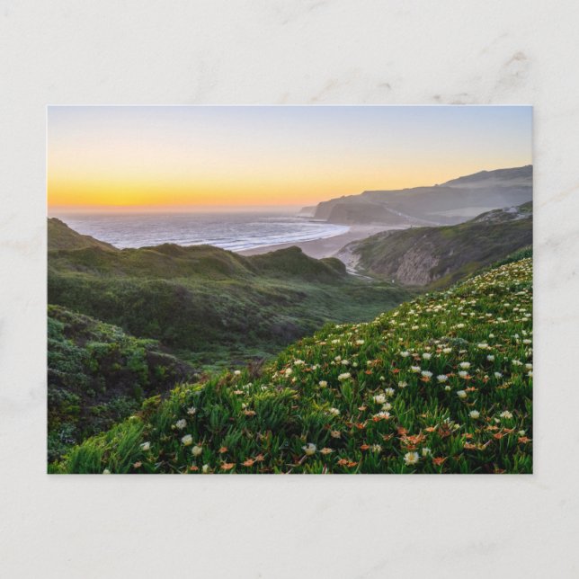Carte Postale Fleurs | Santa Cruz Californie (Devant)