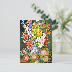 Carte Postale Fleurs sauvages de Ceres, Afrique du Sud