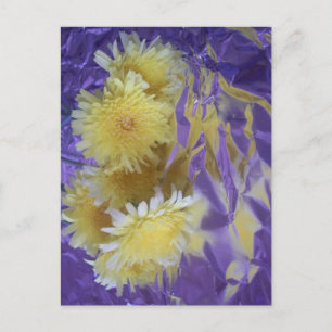 Carte Postale Fleurs sauvages de désert jaune