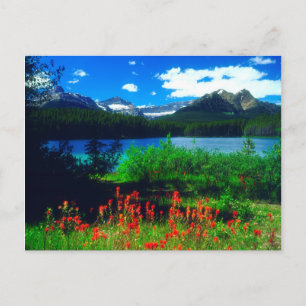 Carte Postale Fleurs sauvages indiens