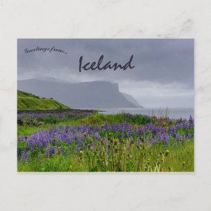 Carte Postale Fleurs sauvages sur la rive de Thingeyri Islande